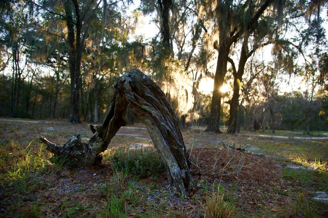 A gravesite at Prairie Creek Conservation Cemetery